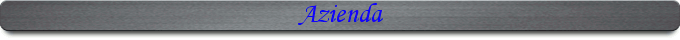 Azienda